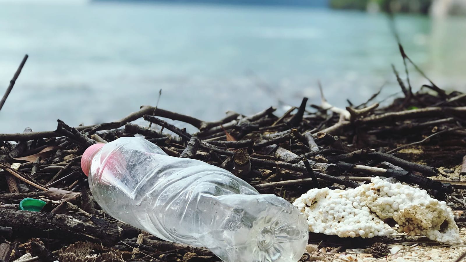 Plastik Kullanımını Azaltmak İçin 10 Öneri görseli